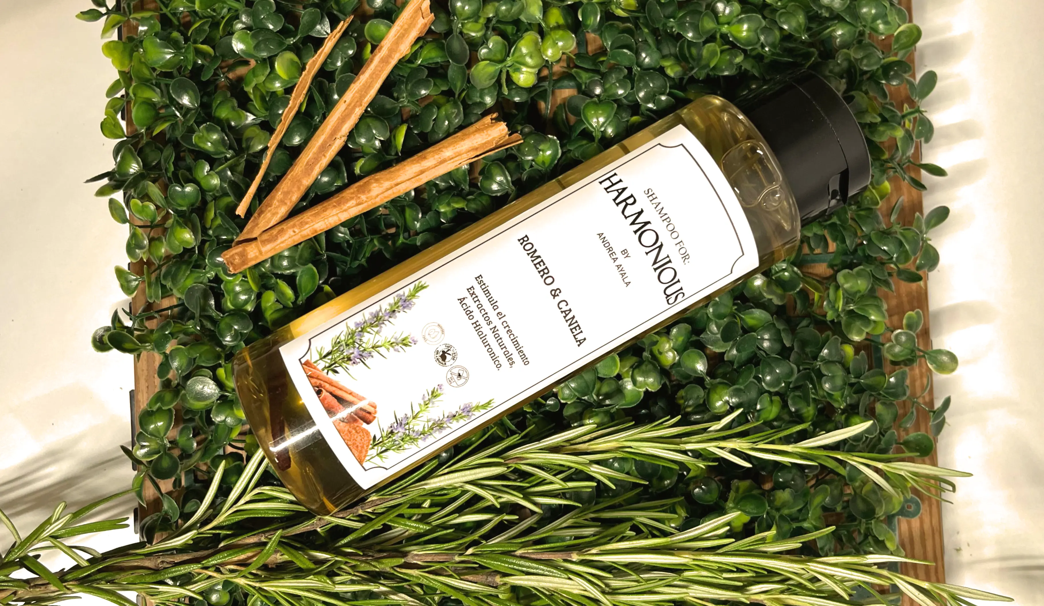 Shampoo de Romero y Canela + Biomascarilla Capilar